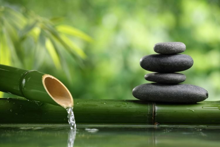 Bigstock 22321633 Spa still life with bamboo fountain and zen stone